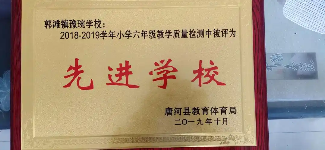 唐河教体局颁发的:先进学校荣誉奖牌