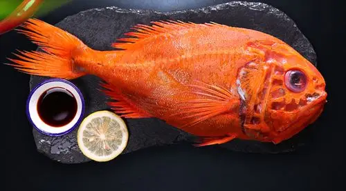 星农联合新西兰长寿鱼2条2500