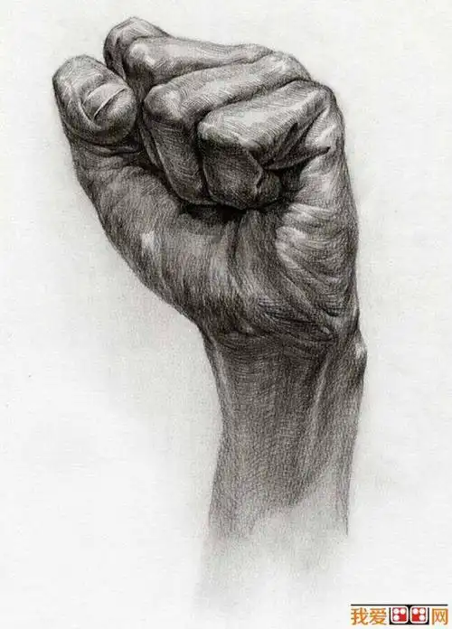 求两张拳头素描图片,一张拳头向上,一张拳头向下,要排线精细一点的