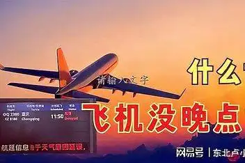 以案说法--飞机晚点造成损害可以索赔吗?_百度视频搜索
