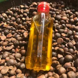 正宗纯天然农家自榨野生山茶油婴儿护肤宝宝外用按摩茶树籽油10历农有