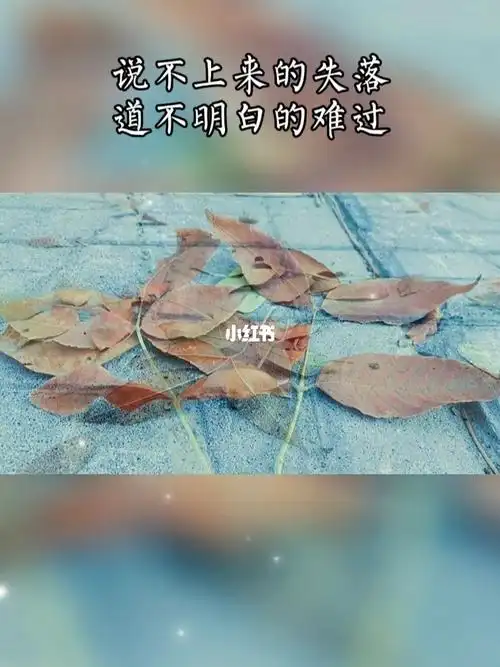 始终还是俗人终究还是错付了