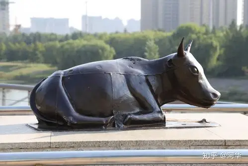 郾城镇河铁牛 - 知乎