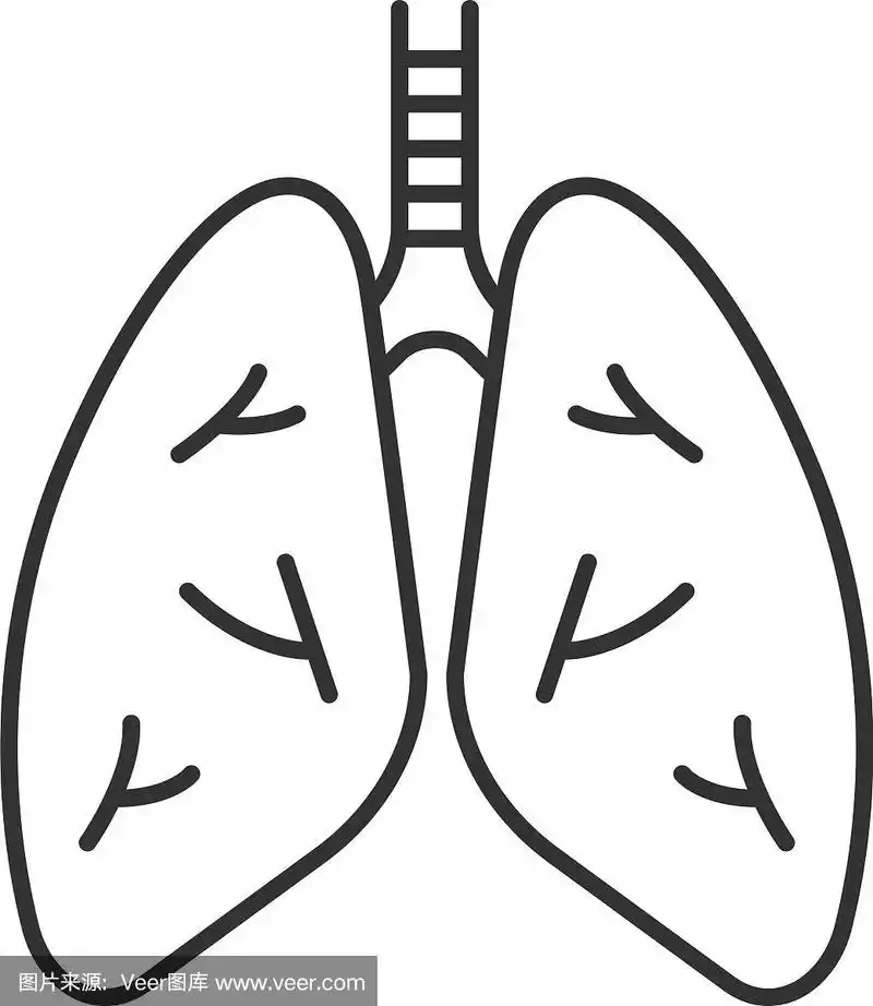 人体肺部线性图标