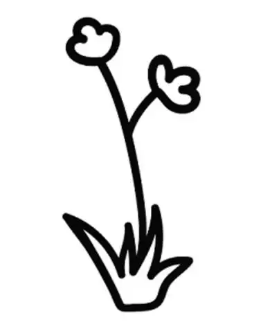 小草简笔画大全 - 简单简笔画