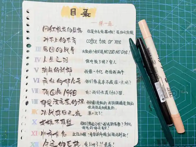 记录一下进度,一晚上先把目录搞出来! #手帐 #明星大侦探