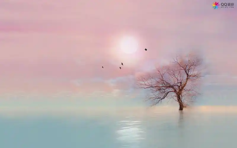 qq风尚桌面壁纸之唯美精选宽屏-设计创意-手机壁纸下载-美桌网