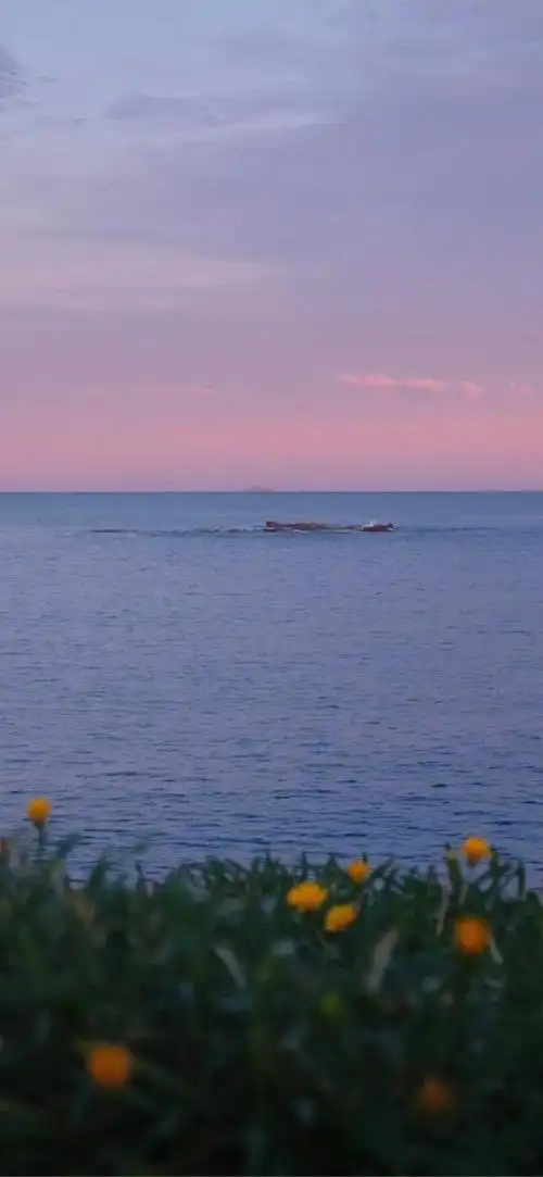 吃了发霉的东西怎么办-今日头条