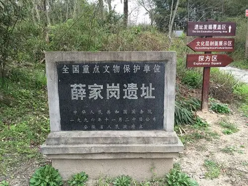 薛家岗遗址:撩起远古文明面纱