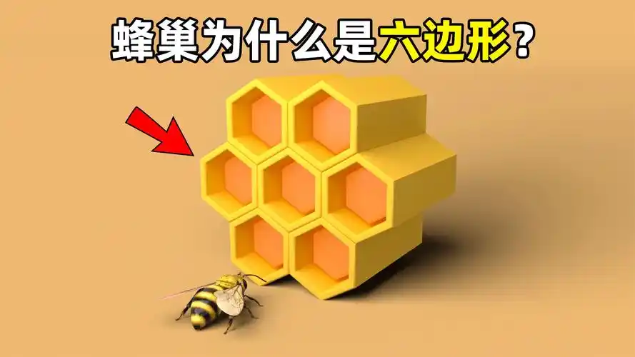 蜂巢为什么是六边形?