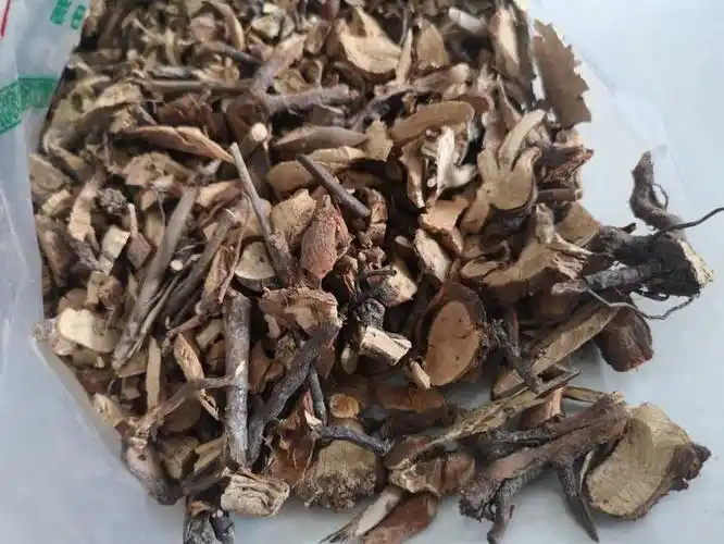 中药材铁篱笆刺根的功效与作用药材批发网