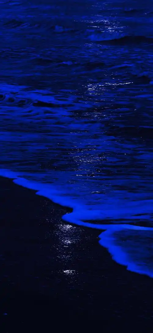 klein blue 克莱因蓝①