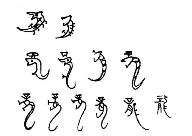 甲骨文中"龙"字的变迁就可以看到,当时龙的形象跟现在所差无几.