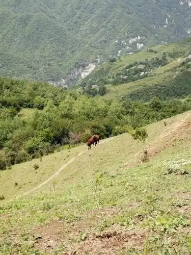 秦岭秘境村落 | 蓝田流峪寺村高山草甸