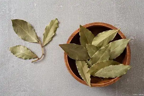 香叶在调料中的作用