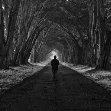 白发悲花落空宴别问备爱孤单的人晚回家深拥你入怀你不懂离别色彩青朷