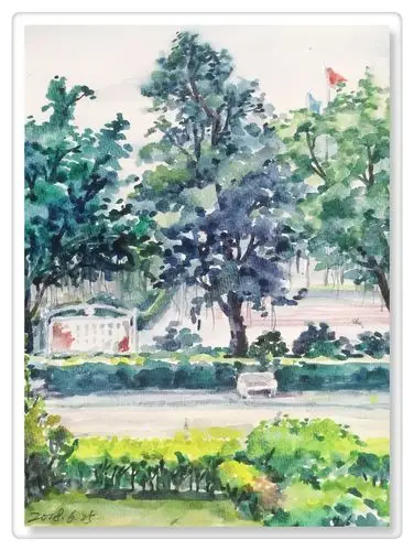 七月已至,新买的水彩本也到了……       二十年没画水彩画了,这是一