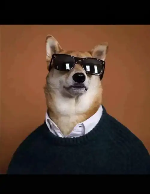 五黑狗头谁还有欢迎补充