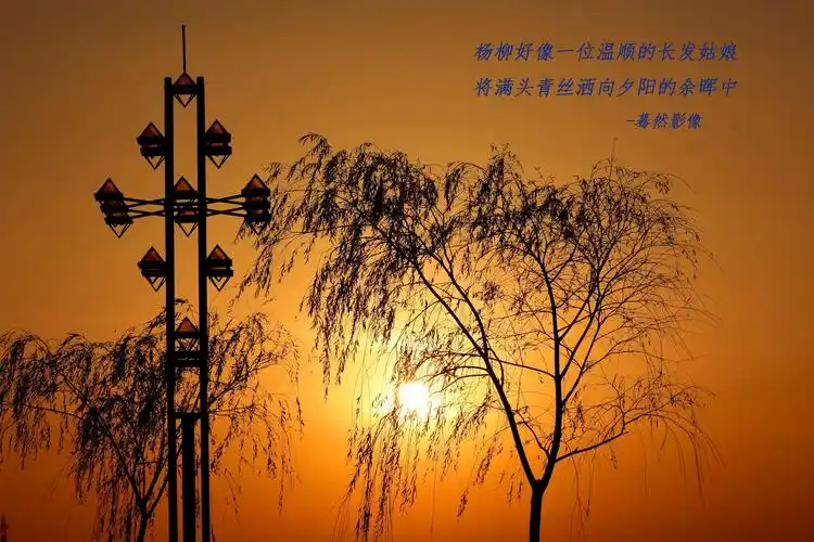 岁月极美,在于它必然的流逝,春花,秋月,夏日,冬雪