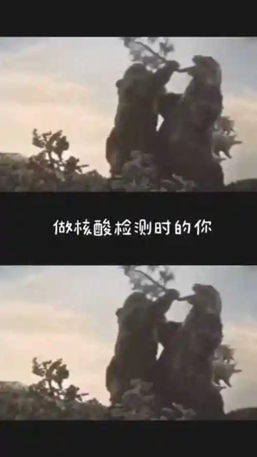 奥特曼我给你做一个核酸检测吧