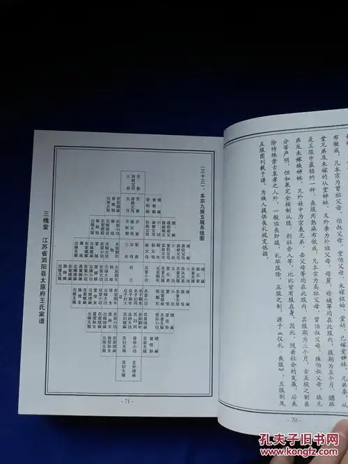 王氏家谱(四修正本)(江苏泗阳) 三槐堂太原府