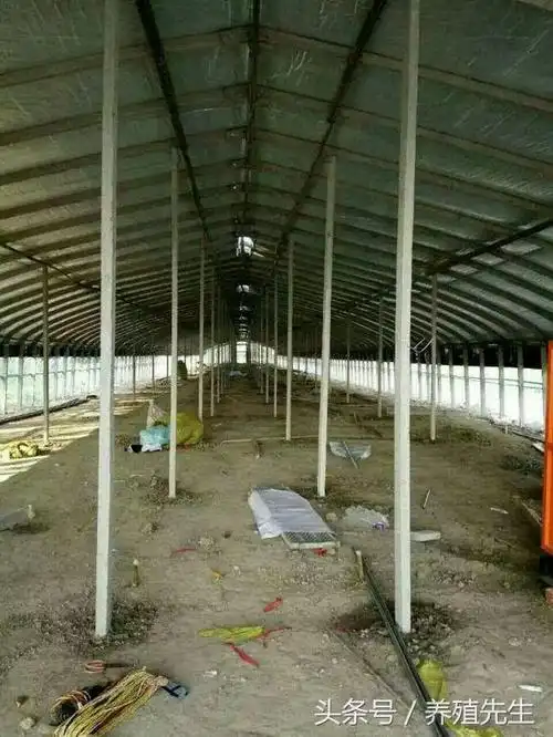 建鹅棚……经济实用