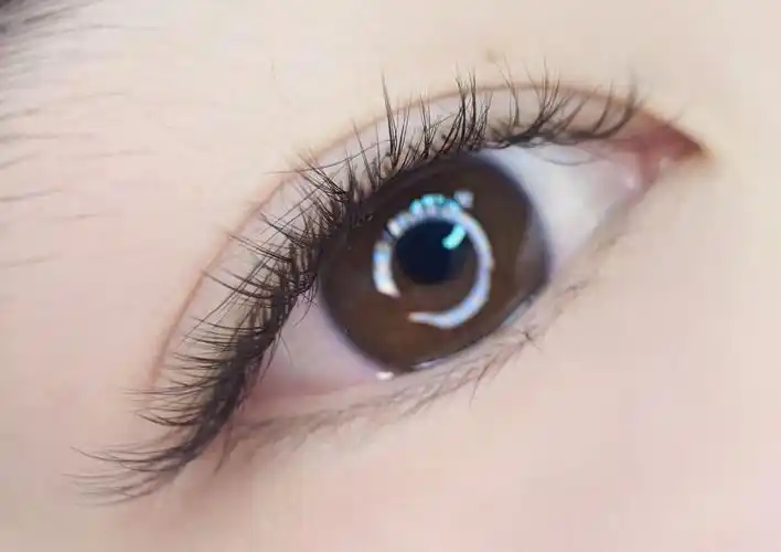 超自然天鹅绒睫毛嫁接