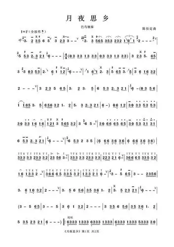 月夜思乡 巴乌独奏