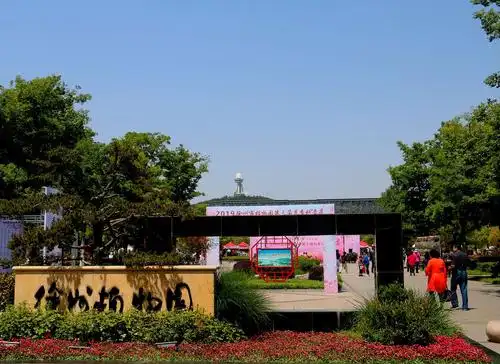 徐州植物园五.一月季展开幕