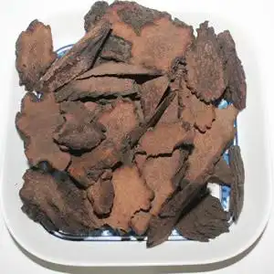 锁阳号_分享各种的功效与作用及食用方法价格等知识