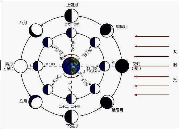 和农历的历法规则有关,这里先学习一下「朔望」:月相变化与「朔望」