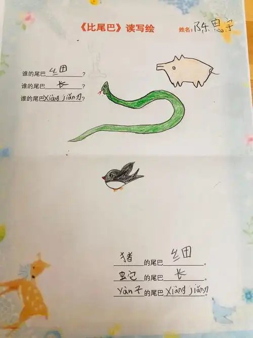 海星班《小动物比尾巴》