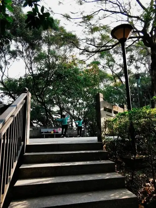 黄贝岭——深圳宝藏打卡地