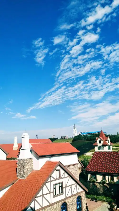 藏马山蓝莓小镇