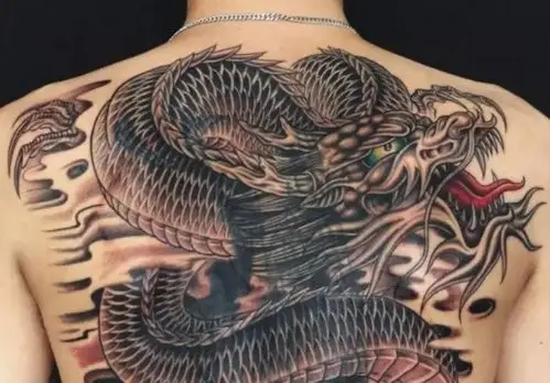 龙里纹的最多的是青龙和邪龙,青龙属阳,邪龙属阴,分别跟阴气重和阳气