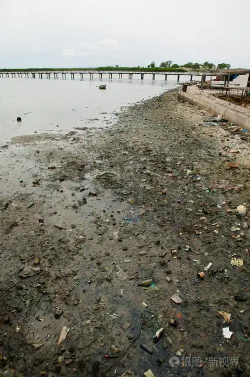 非洲塞内加尔河污染土壤
