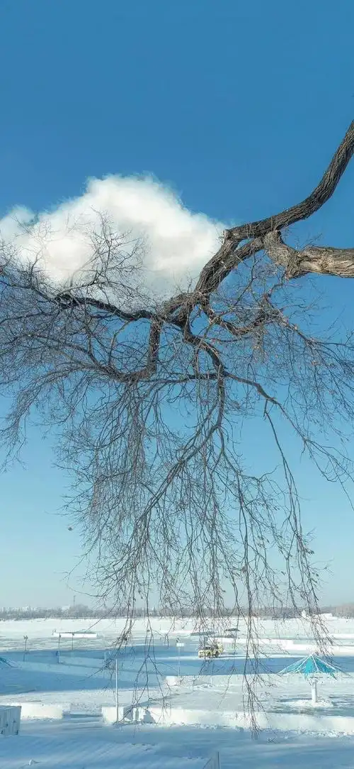 很哇塞的一组壁纸