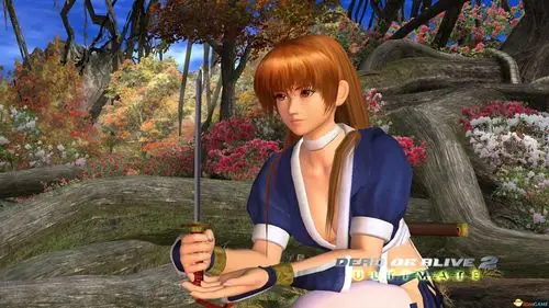 《死或生2终极版》开场动画