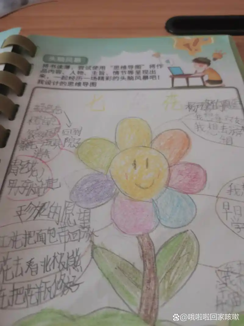 七色花思维导图