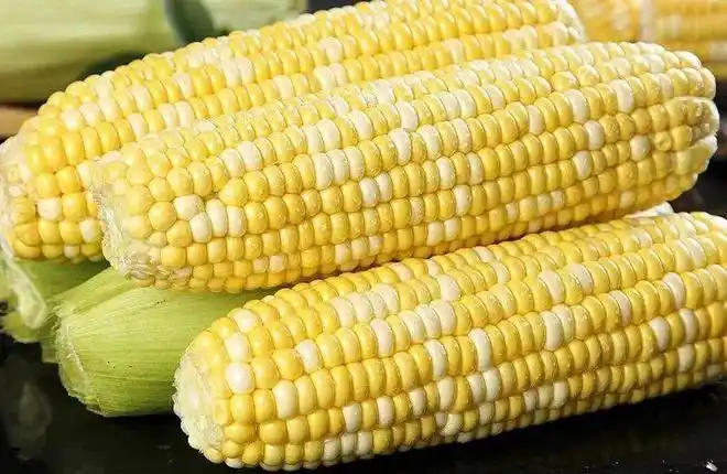 脆嫩甜云南水果玉米289元5斤生熟两吃多汁到爆浆