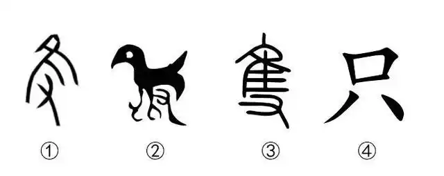 学认甲骨文|"鸟"啼花落 形单影"只"
