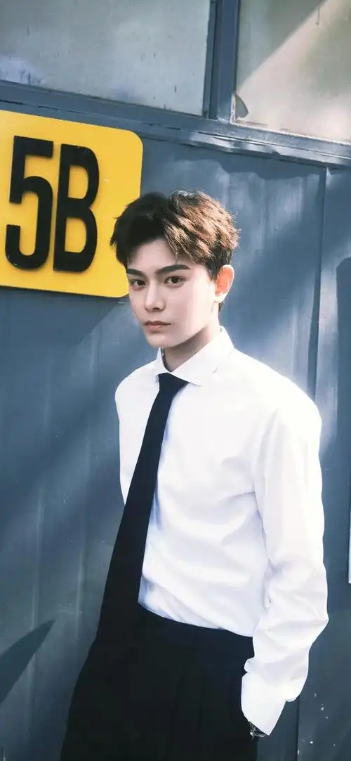 帅哥系列壁纸-第6期-丁禹兮