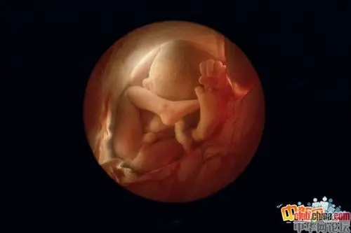 一个婴儿的诞生——令人惊叹的未出生胎儿照片!
