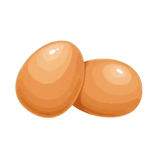 新鲜鸡蛋插图 手绘