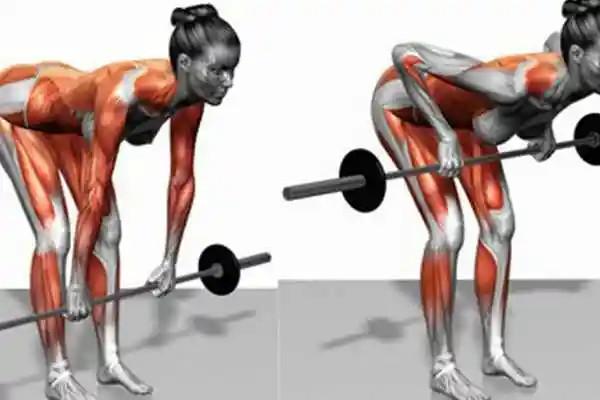 怎样去完成一个标准的杠铃划船,经常进行杠铃划船的你做对了吗