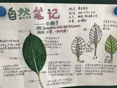 【立信远实自然笔记】"大美三秦 印象笔记"优秀作品展