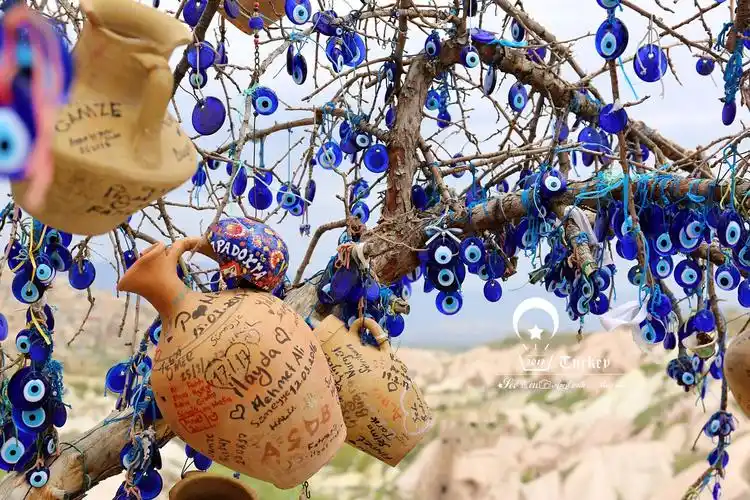 挂满蓝眼睛的树 天空有雨的味道在这里 我们一票人进行了反反复复的喂