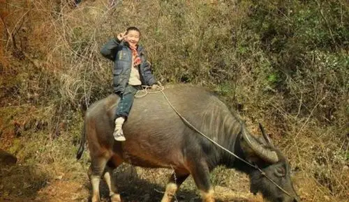 [卜算子]牧童(外一首)