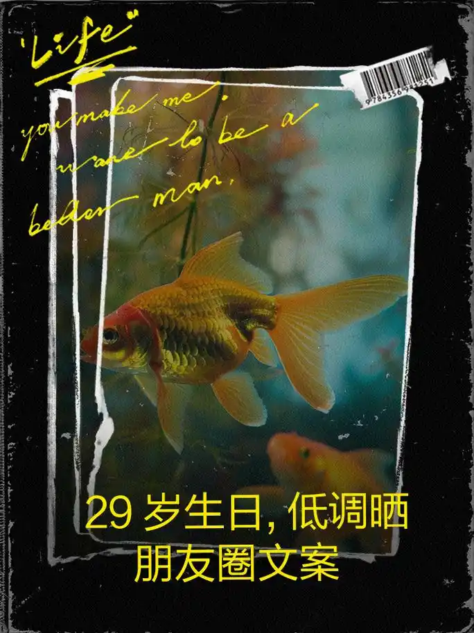 29岁生日,低调晒朋友圈文案