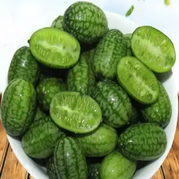 拇指西瓜 特色拇指西瓜 迷你绿瓤小西瓜 新鲜孕妇水果125g